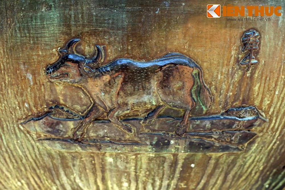 Loài động vật cuối cùng trên Thuần đỉnh là "Ly ngưu" - con bò tót, loài bò hoang dã có hình thể lớn và sức khỏe địch được cả hổ báo.