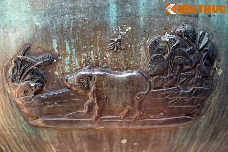 Loài thứ ba trên Tuyên đỉnh là "Thỉ" - con lợn, một gia súc được nuôi lấy thịt rất quen thuộc ở vùng nông thôn Việt Nam.