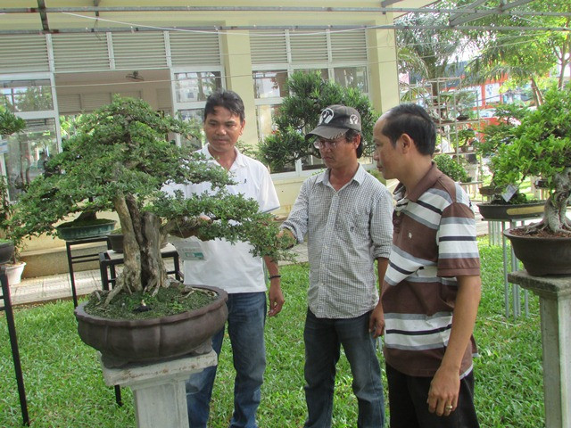 Nhieu cay canh, bonsai “doc, la” tai san choi cua nong dan
