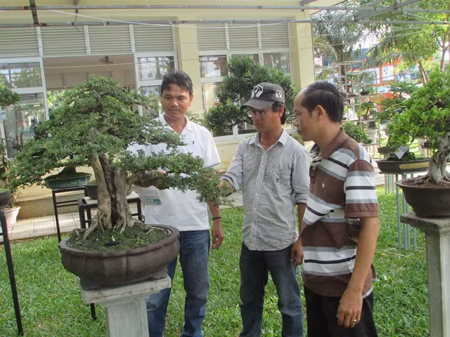 Nhieu cay canh, bonsai “doc, la” tai san choi cua nong dan