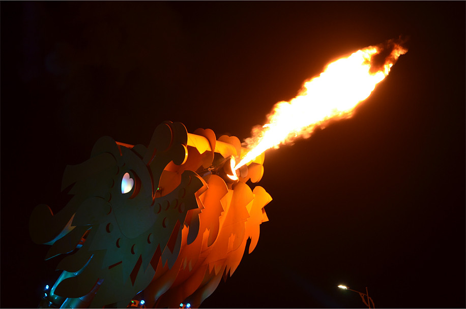 "Nhìn gần hơn, và bạn sẽ thấy tình yêu trong mắt nó", James viết như vậy về hình trái tim ở con mắt của rồng. Ảnh: Notesplusultra.com.