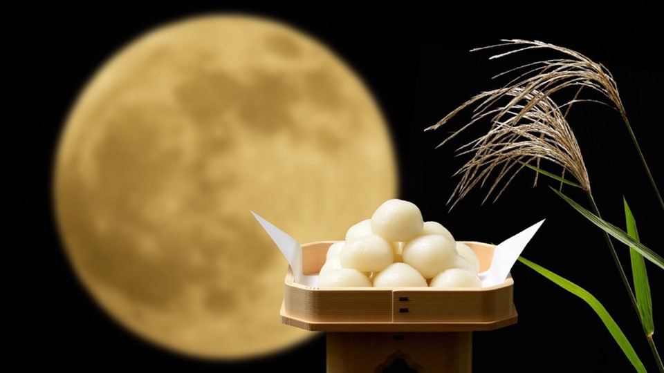 Tùy vào văn hóa và phong tục của từng vùng miền, Tsukimi Dango mang các hình dạng khác nhau. Nơi nặn bánh hình chữ nhật, nơi ép dẹt nhưng phổ biến nhất vẫn là hình tròn. Ảnh: Tomotcha.