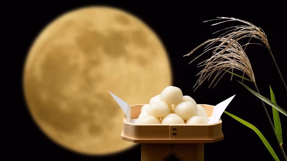 Tùy vào văn hóa và phong tục của từng vùng miền, Tsukimi Dango mang các hình dạng khác nhau. Nơi nặn bánh hình chữ nhật, nơi ép dẹt nhưng phổ biến nhất vẫn là hình tròn. Ảnh: Tomotcha.