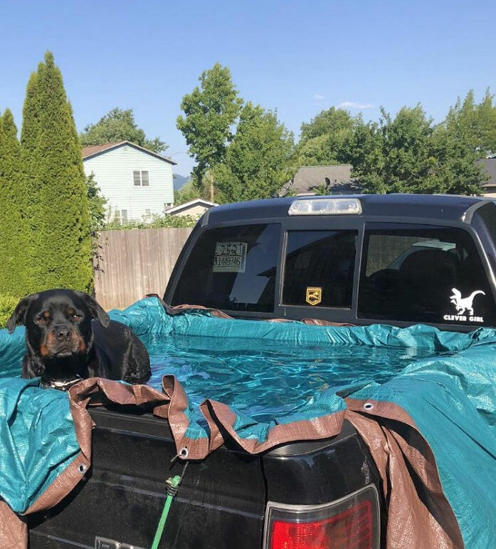 Sau khi tàn phá Canada, cơn sóng nhiệt tràn xuống nước Mỹ khiến cuộc sống của người dân điêu đứng. Mọi người đã tìm cách tận dụng mọi thứ chống lại cái nóng, trong đó phải kể đến hồ bơi nhân tạo nằm gọn sau chiếc xe bán tải này.