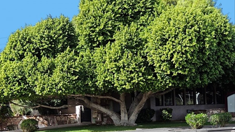 Các cụ dặn: Nhà có 8 dấu hiệu này tài lộc thất thoát, tiền bao nhiêu cũng hết - Hình 2 Cac cu dan: Nha co 8 dau hieu nay tai loc that thoat, tien bao nhieu cung het-Hinh-2