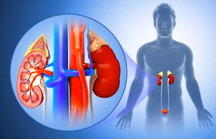 Dau hieu canh bao benh than dang tien trien manh, thay bat thuong can kham ngay