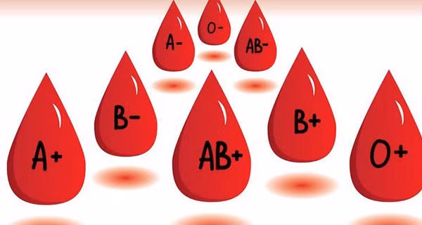 Nhom mau lien quan gi toi benh tat: 1 nhom cuc khoe manh