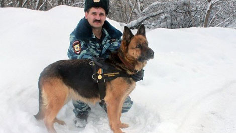 Việc thử nghiệm trên động vật khiến nhiều nhà hoạt động phản đối.