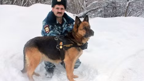 Việc thử nghiệm trên động vật khiến nhiều nhà hoạt động phản đối.