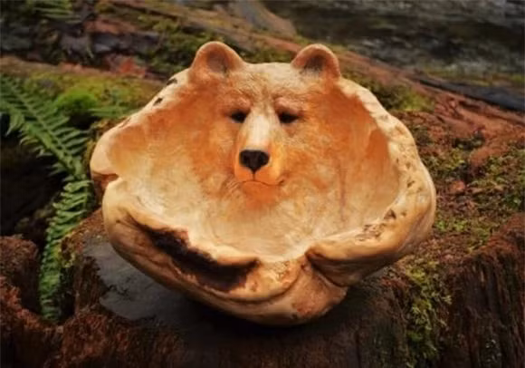 Vì vậy, lần tới khi bạn nhìn thấy một mảnh vỏ cây, một chiếc lá rụng hoặc một cành cây gãy trên mặt đất, bạn có thể muốn nhìn kỹ lại. Nghệ thuật có thể đã ở đó.