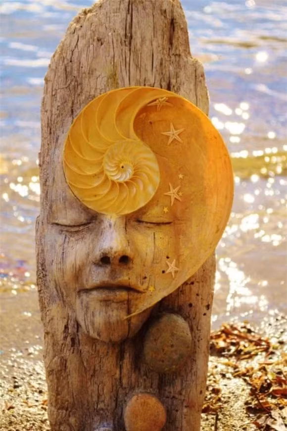 Công việc của Debra dạy chúng ta nhận ra thiên nhiên đã là một nghệ thuật như thế nào và mục đích của con người là sống trong hòa bình với sự hài hòa tự nhiên đó.