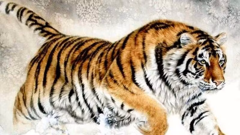  Thu nhập của người tuổi Dần trong giai đoạn này có sự tăng trưởng. Nguồn tiền có thể đến từ công việc chính, cũng có thể gia tăng nhờ việc tay trái, các dự án đầu tư bên ngoài. Sự nhạy bén, thông minh là yếu tố quan trọng giúp tuổi Dần có thể đạt thành công rực rỡ.