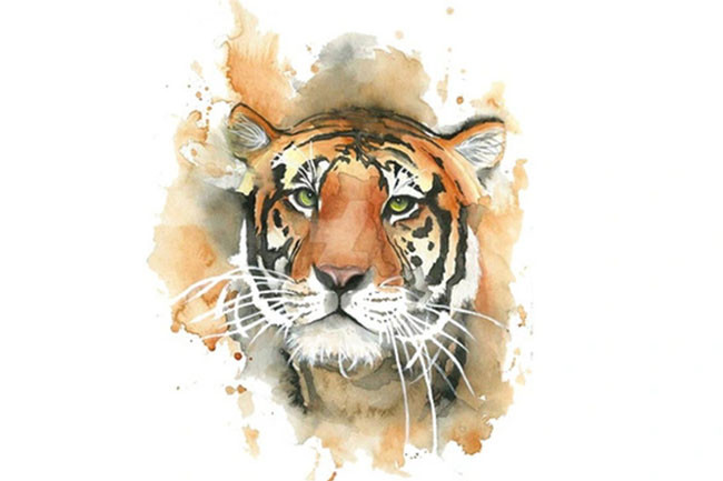  Con giáp tuổi Dần: Trong 9 ngày tới, Chính Ấn nâng đỡ vận trình ngày mới của người tuổi Dần, bản mệnh càng làm càng hăng say, kết quả công việc vượt cả năng suất dự kiến ban đầu. 