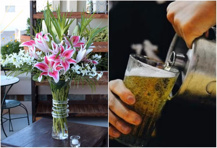  Giúp hoa tươi lâu hơn: Nếu như bạn muốn hoa sau khi mua về được tươi lâu hơn hãy đổ một ít bia vào nước ngâm hoa. Bạn sẽ thấy hoa tươi lâu hơn bình thường không bị héo úa và thối cuống.