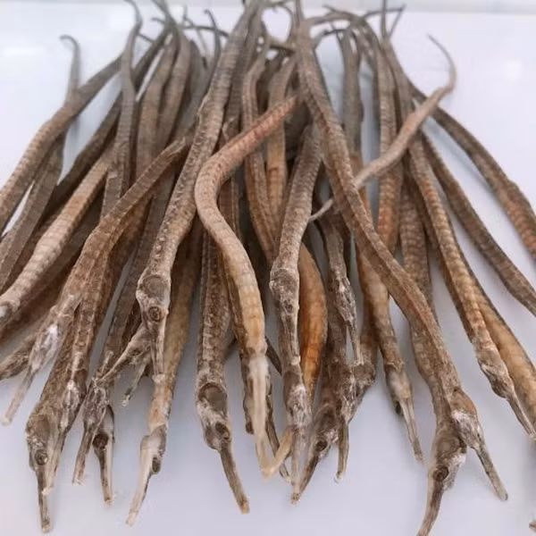 Trong Đông y, cá hải long được coi là một vị thuốc quý bởi chúng chứa rất nhiều chất dinh dưỡng. Những vị thuốc từ cá hải long được chế biến bằng cách lấy toàn thân của chúng bỏ ruột rồi phơi khô.