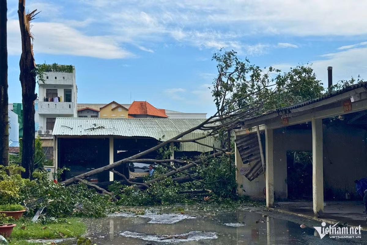 Theo Đài khí tưởng thủy văn khu vực Nam Bộ, dự báo trong những giờ tới, mây giông tiếp tục phát triển và gây mưa rào kèm theo giông sét cho các khu vực Nam Bộ. Sau đó, mây giông xu hướng mở rộng và lan sang các khu vực lân cận khác. Trong cơn giông đề phòng lốc, sét, mưa đá, gió giật mạnh cấp 5-8 (8-21 m/s), mưa lớn gây ngập úng cục bộ.