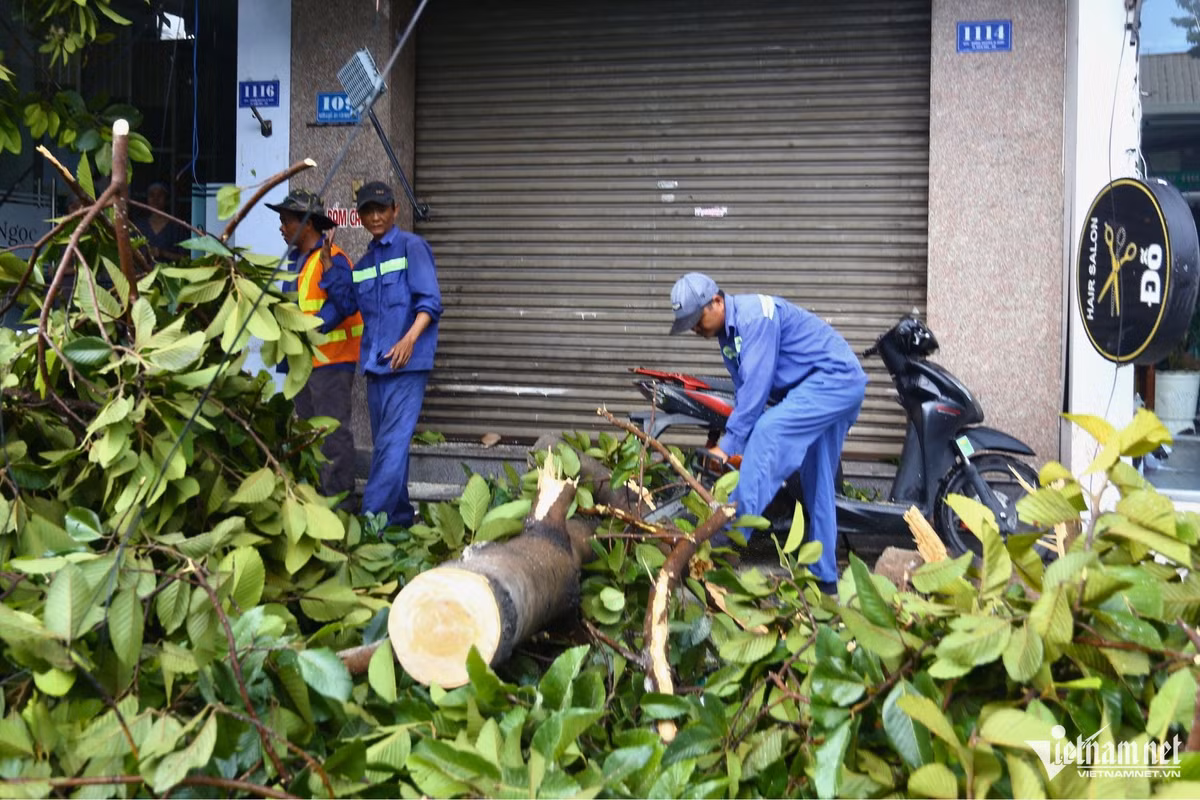 Bước đầu, cơ quan chức năng chưa ghi nhận thiệt hại về người trong cơn mưa giông chiều nay. Ông Nguyễn Phước Huy, Giám đốc Đài khí tượng thủy văn Đồng Nai cho biết, lượng mưa đo được chiều nay tại trạm khí tượng Biên Hòa là 25mm, huyện Cẩm Mỹ 30mm. Các trạm khác đều mưa nhỏ hoặc không mưa.