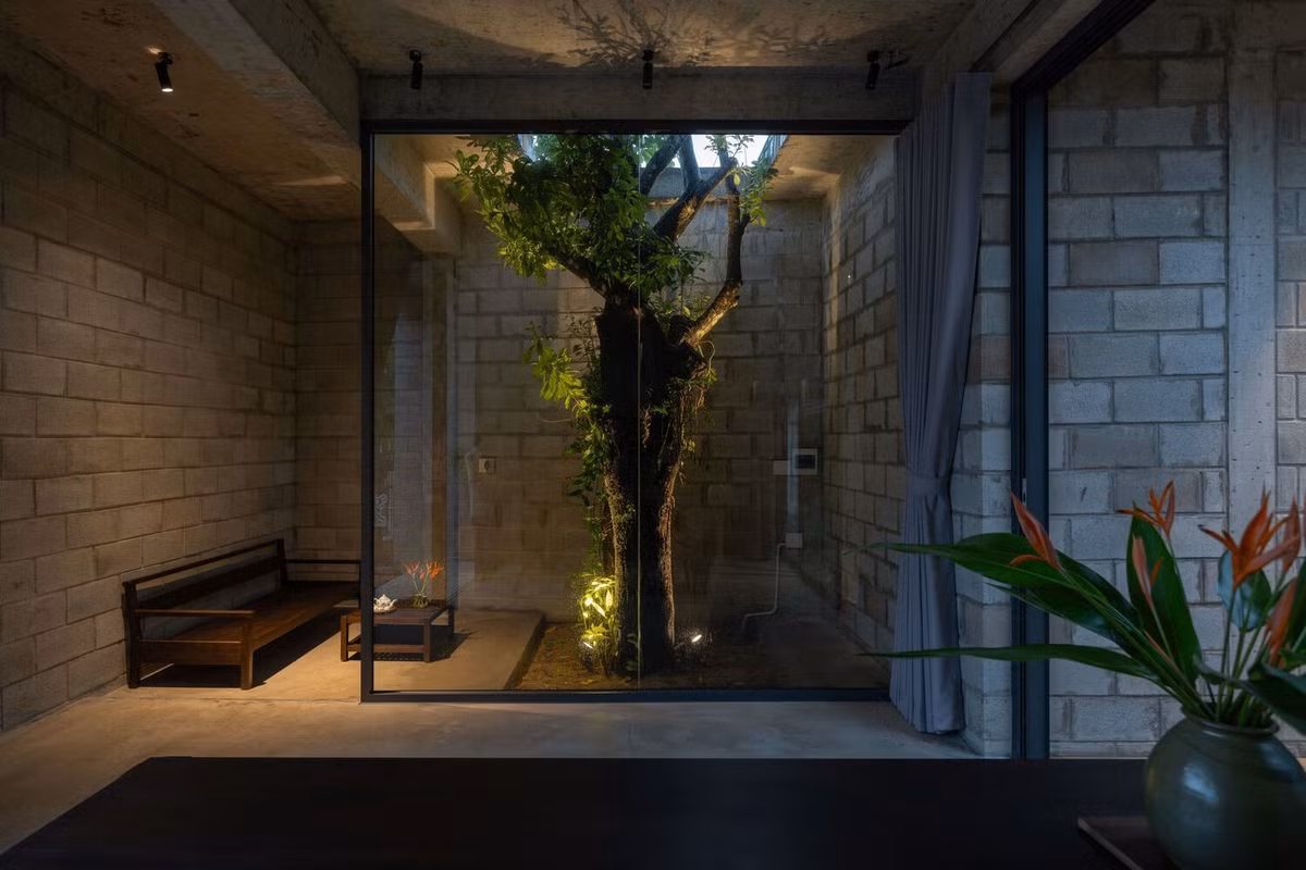 Cốt lõi của thiết kế xoay quanh một cây lớn, được bảo tồn cẩn thận như là điểm nhấn của ngôi nhà. Thay vì bị loại bỏ, cây lớn được tích hợp vào không gian sống, tạo ra sự kết nối chặt chẽ giữa kiến trúc và thiên nhiên.