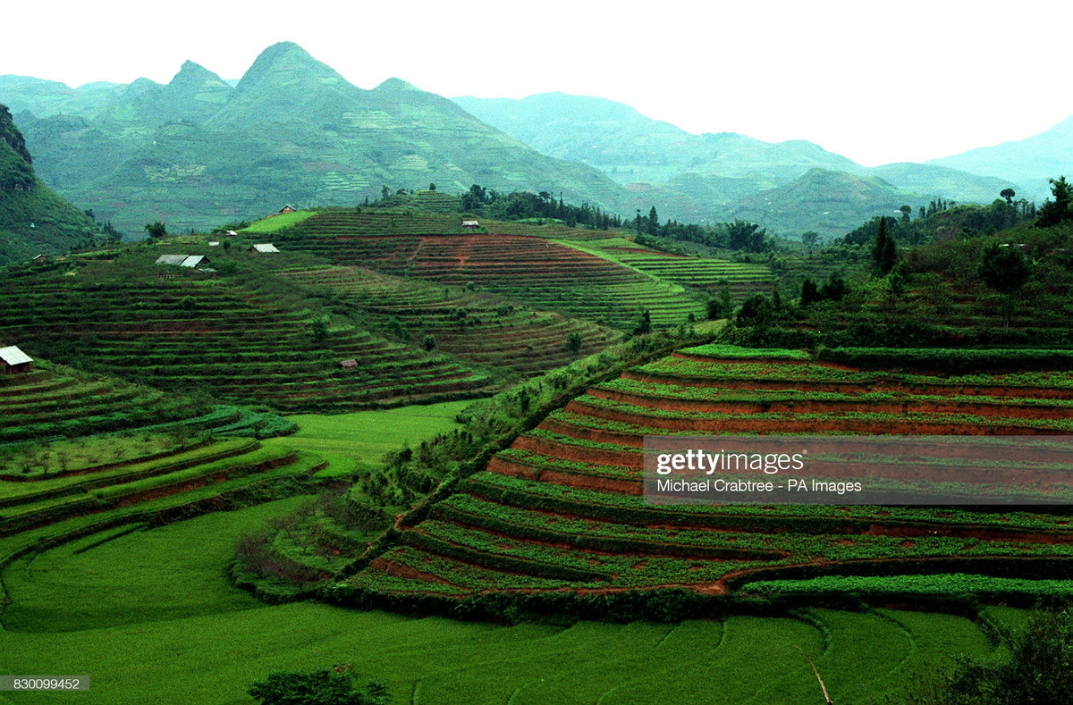 Ruộng bậc thang, cảnh quan đặc trưng của miền núi phía Bắc Việt Nam.
