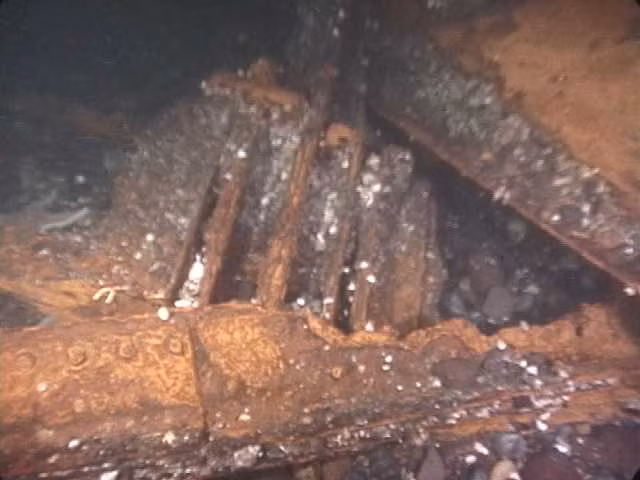 Ngày nay, những mảnh vụn của Tacoma Narrows vẫn nằm dưới đáy vịnh Puget, tạo nên một trong những rặng san hô nhân tạo lớn nhất thế giới. Nơi đây đã được đưa vào danh sách Địa điểm lịch sử cấp quốc gia của Mỹ.