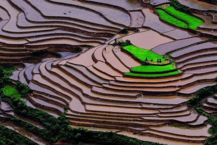 Khoảnh khắc chụp tại huyện Mù Cang Chải, tỉnh Yên Bái, Việt Nam. Vẻ đẹp trùng điệp của những thửa ruộng bậc thang nối tiếp nhau từng tầng, từng lớp khi nhìn từ trên cao, khiến người xem ngất ngây.