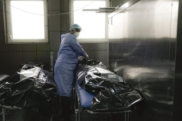 Nhân viên y tế kiểm tra túi thi thể của nạn nhân Covid-19 tại nhà xác Bệnh viện Cấp cứu Đại học Bucharest. Theo Bộ Y tế Romania, hơn 90% trường hợp tử vong là những người không tiêm vaccine và khoảng 85% ở độ tuổi trên 60. Các nhà chức trách Romania đã áp đặt biện pháp phòng dịch tăng cường cách đây hai tuần, bao gồm lệnh giới nghiêm lúc 22h và người dân bắt buộc phải trình giấy chứng nhận tiêm chủng nếu muốn tham gia hoạt động như tập thể dục, tới rạp chiếu phim hoặc trung tâm mua sắm.