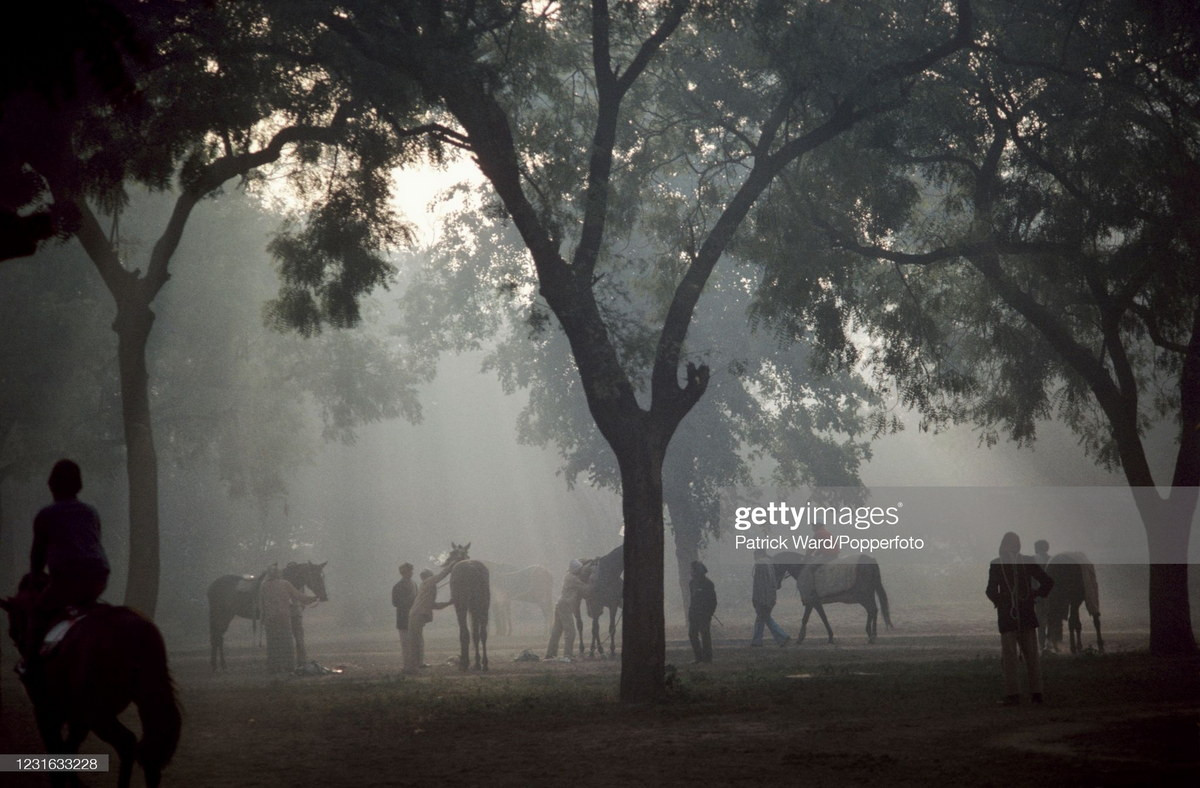 Buổi sáng sớm tại một câu lạc bộ polo ở thủ đô Delhi.