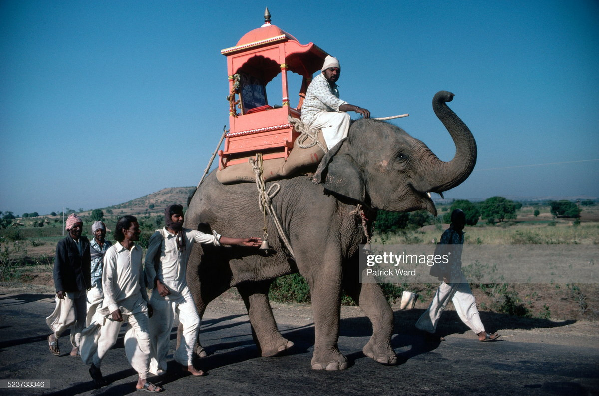 Một nhóm đàn ông di chuyển cùng con voi trên đường cái ở ngoại vi thành phố Aurangabad, bang Maharashtra.