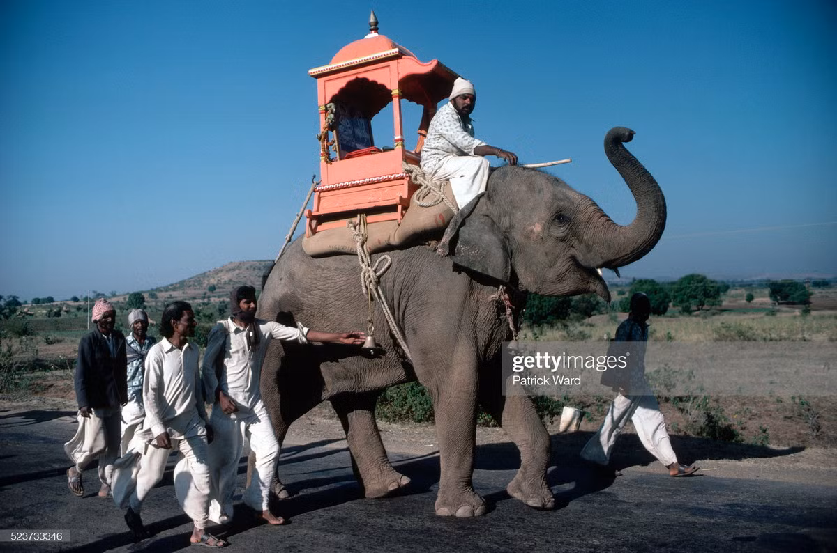 Một nhóm đàn ông di chuyển cùng con voi trên đường cái ở ngoại vi thành phố Aurangabad, bang Maharashtra.