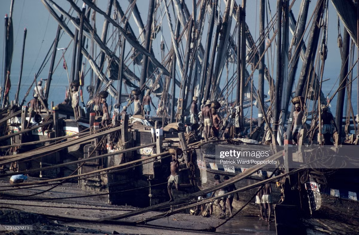 Ngư dân đưa cá xuống từ thuyền ở cảng cá Bombay.