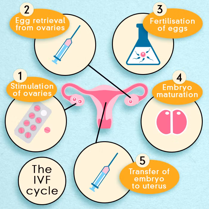 Kỹ thuật này đã được bác sĩ phụ khoa Anh, Patrick Steptoe và nhà khoa học Robert Edwards, đã bắt đầu cộng tác nghiên cứu từ một thập niên trước đó. Khi quy trình được bảo đảm an toàn và thành công, nó mới được thực hiện trên người.