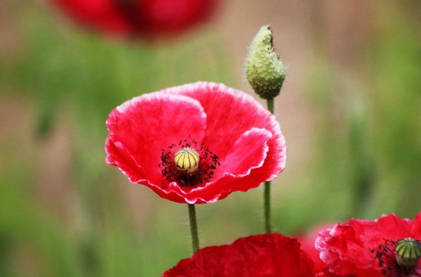 Sinh trung 4 ngay Am nay, tu 30-40 la tuoi vang muoi, tien cao nhu nui