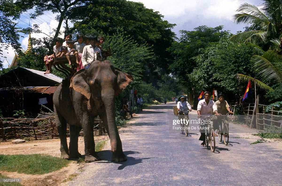 Con voi chở những đứa trẻ trên Quốc lộ 1, gần Phnom Penh, Campuchia năm 1989. Ảnh: Francoise de Mulder/ Getty Images.