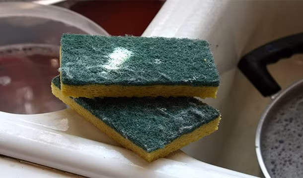 Với 10 triệu vi khuẩn trên mỗi inch vuông, miếng bọt biển trong nhà bếp của bạn bẩn hơn toilet tới… 25.000 lần. Vì vậy, hãy thay ngay một miếng bọt biển khác.