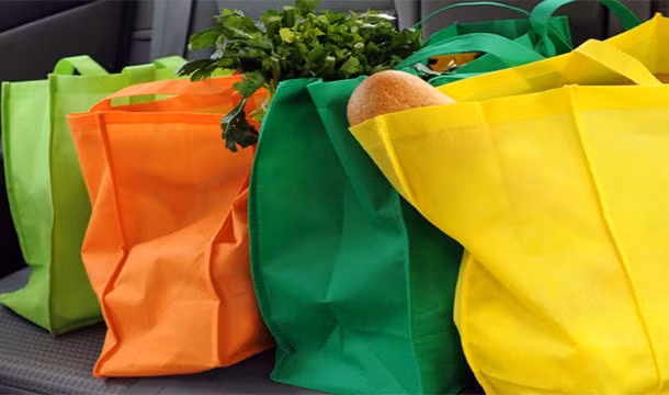 Túi mua sắm tái sử dụng không thể sạch bằng đồ lót của bạn vì ít nhất bạn còn giặt đồ lót hàng ngày, còn túi thì không.