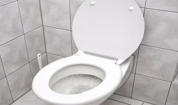 Ai cũng nghĩ toilet là nơi bẩn thỉu nhất nên thường cọ rửa bằng nhiều loại hóa chất mỗi ngày. Nhưng việc đó lại không thường xuyên được làm với bàn chải đánh răng hay túi xách. Hãy bổ sung chúng vào danh sách đồ cần làm sạch thường xuyên nhé.