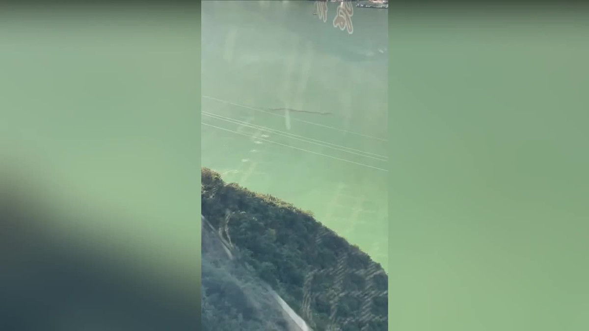 Đi cáp treo, cô gái phát hiện “thủy quái” có hình dạng bí ẩn Di cap treo, co gai phat hien “thuy quai” co hinh dang bi an