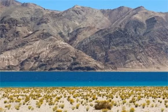 Tai sao nguoi dan khong danh bat hoac an ca tom o Ho Tay Tang?-Hinh-2