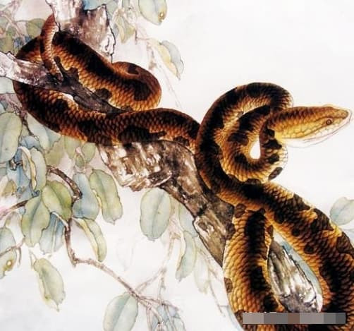 3 con gap co kha nang phan cong manh me, but pha ban than-Hinh-3