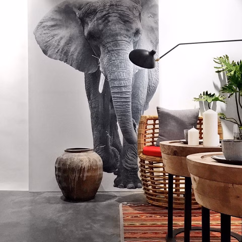 Can ho nho cu, cai tao the nao de van dep “hut mat”-Hinh-8