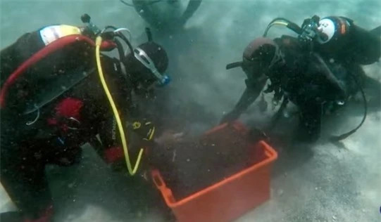 Đi lặn biển, người đàn ông phát hiện 'kho báu' Di lan bien, nguoi dan ong phat hien 'kho bau'