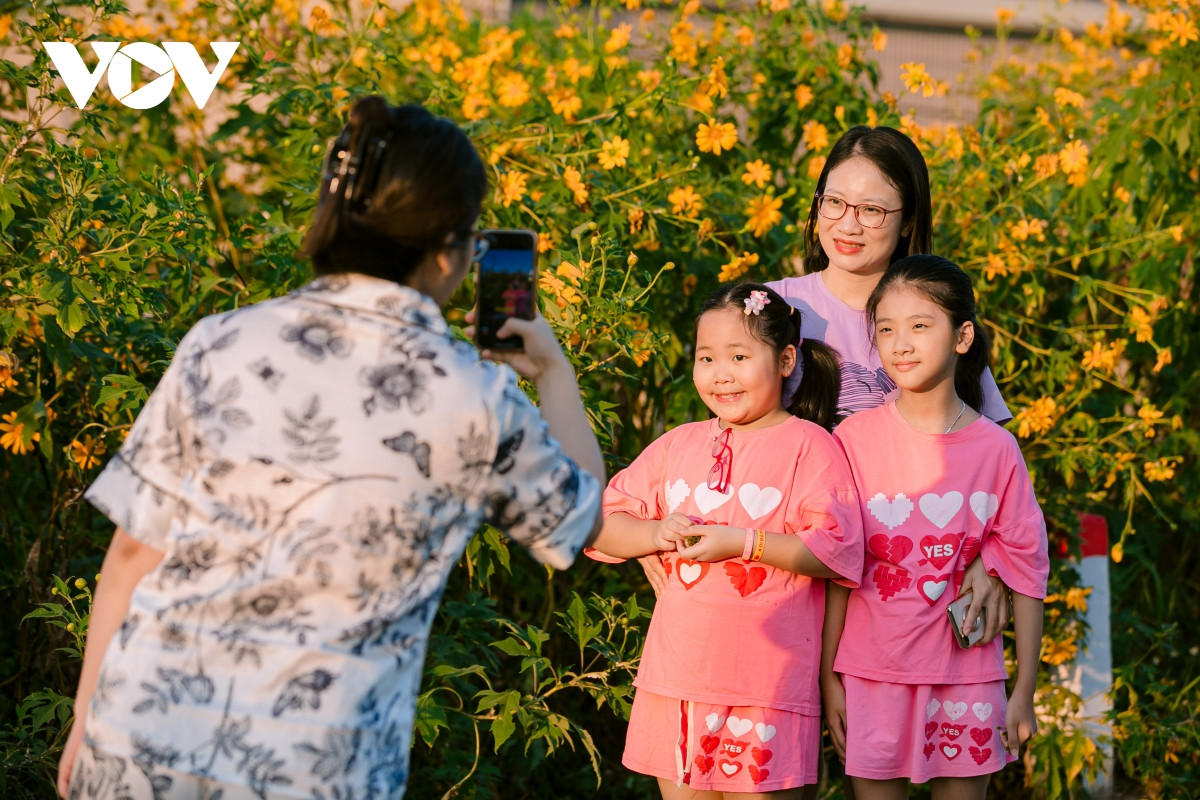 Check-in con duong hoa da quy ruc ro o Hai Duong-Hinh-3