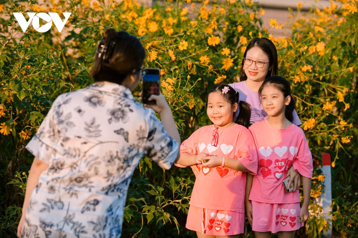 Check-in con duong hoa da quy ruc ro o Hai Duong-Hinh-3