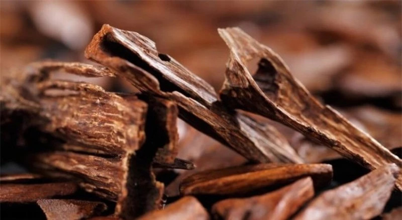  loại gỗ đắt nhất trên thế giới: Việt Nam có 1 loại nổi tiếng ảnh 3