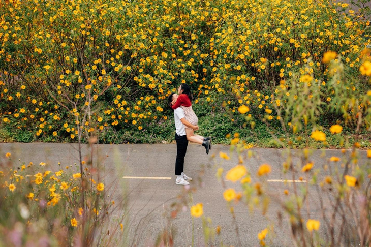 Hoa da quy nhuom vang Da Lat-Hinh-6