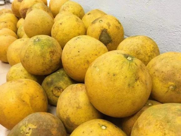 Mua buoi Dien cu nhin vao diem nay, 10 qua thom ngot ca 10