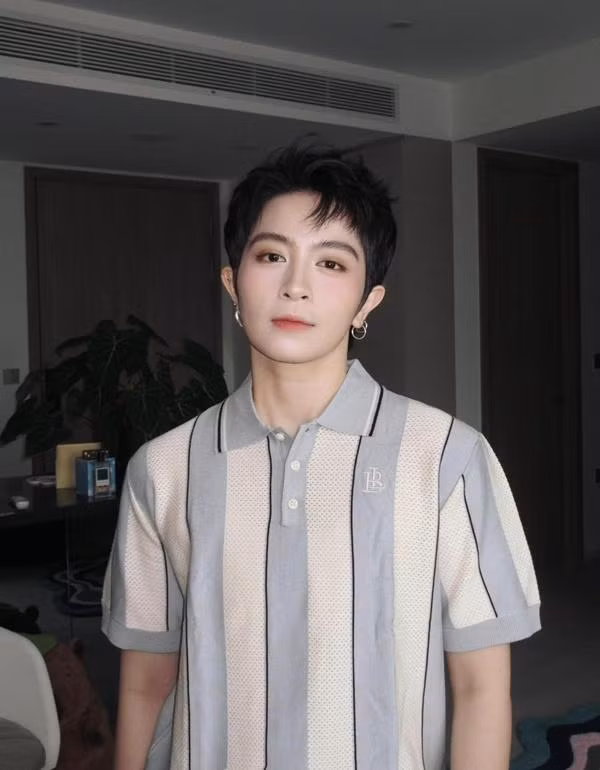 Gia nhập làng giải trí từ năm 17 tuổi, Gil Lê khởi đầu sự nghiệp nghệ thuật với vai trò MC. Sau đó Gil Lê dần khẳng định bản thân với tư cách một ca sĩ.