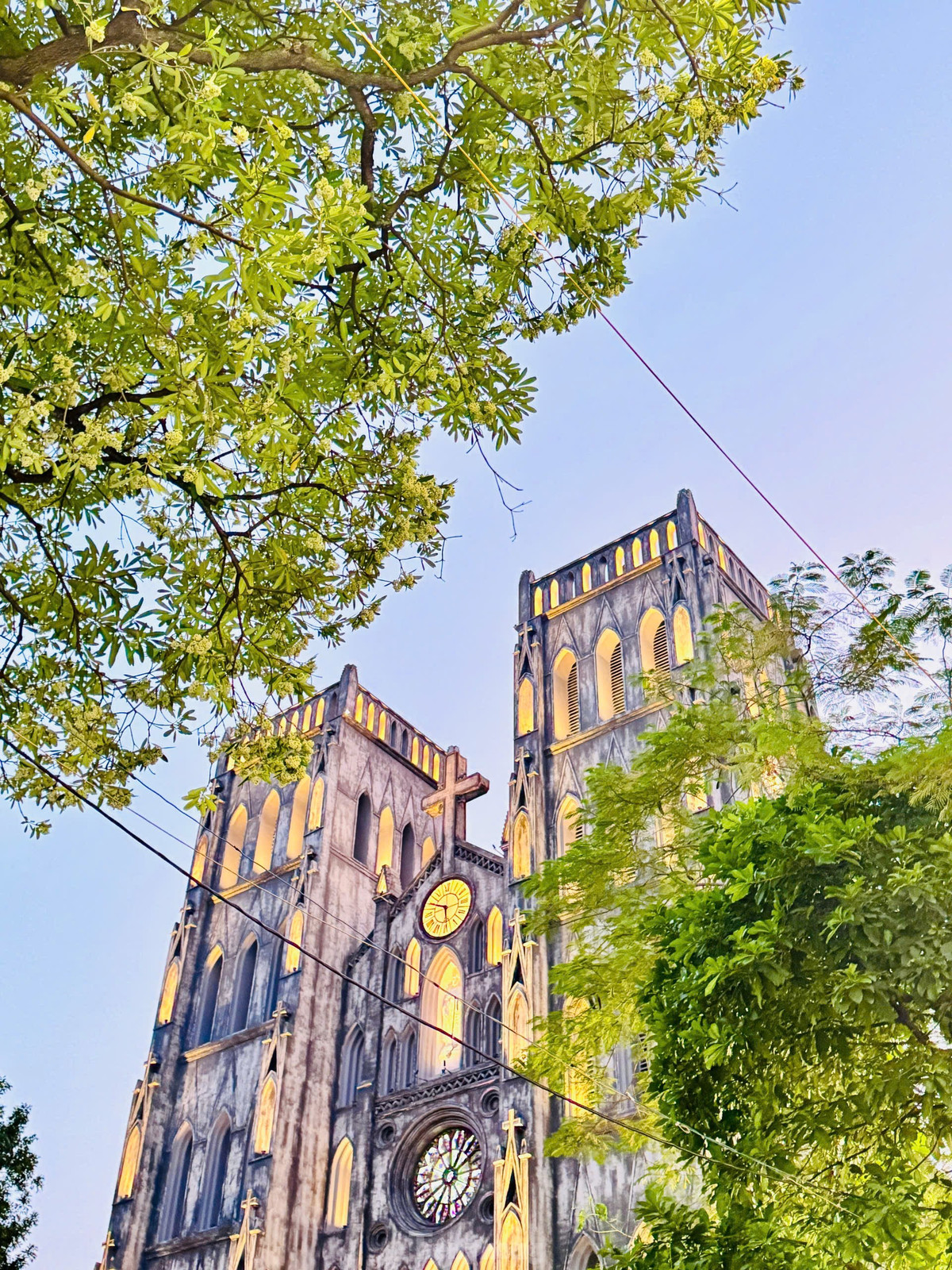 Hoa sữa trắng và hương thơm nồng nàn của loài hoa đặc trưng mùa thu này khiến người đi xa càng thêm nỗi nhớ da diết về Hà Nội.