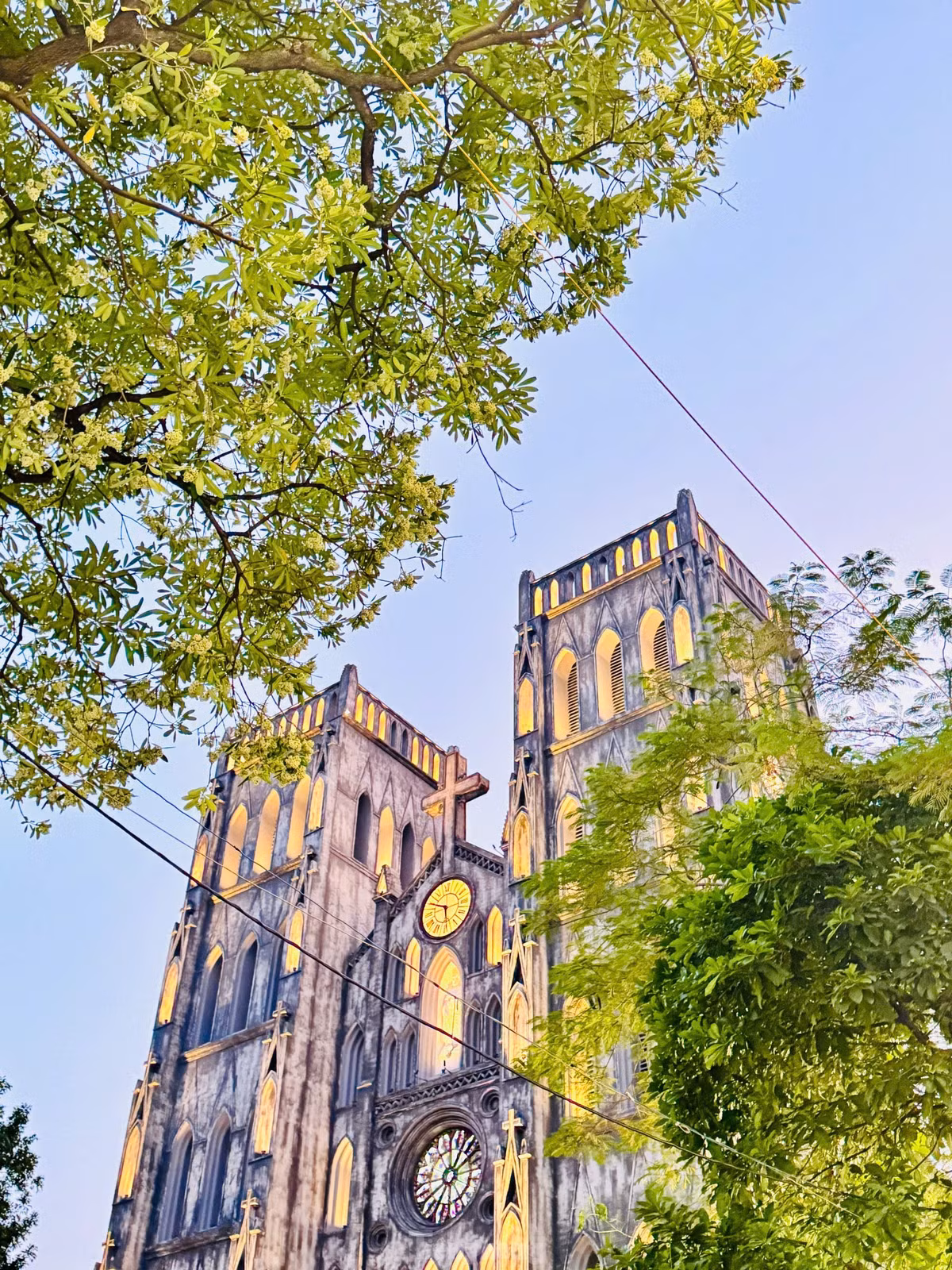 Hoa sữa trắng và hương thơm nồng nàn của loài hoa đặc trưng mùa thu này khiến người đi xa càng thêm nỗi nhớ da diết về Hà Nội.