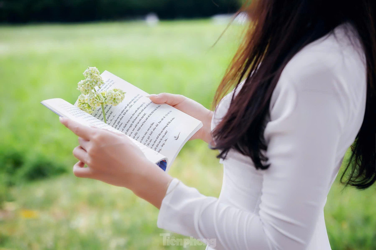 Thu Hà Nội cũng thật tình qua từng chùm hoa sữa ngọt ngào nỗi nhớ.